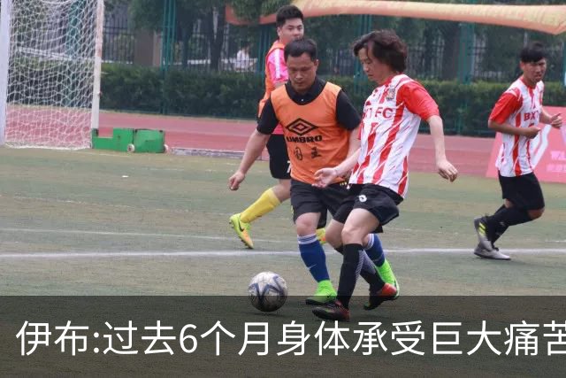 伊布:过去6个月身体承受巨大痛苦 只为帮球队夺冠